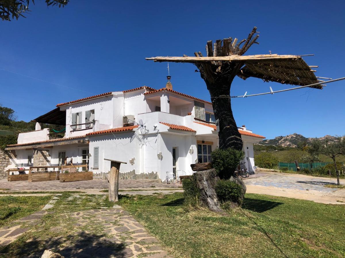 Villa Rosa In Surrau Арцахена Екстериор снимка